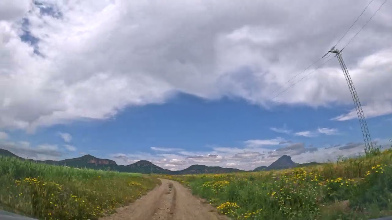 Sur la route , de Sousse à la foret de Zaghouan