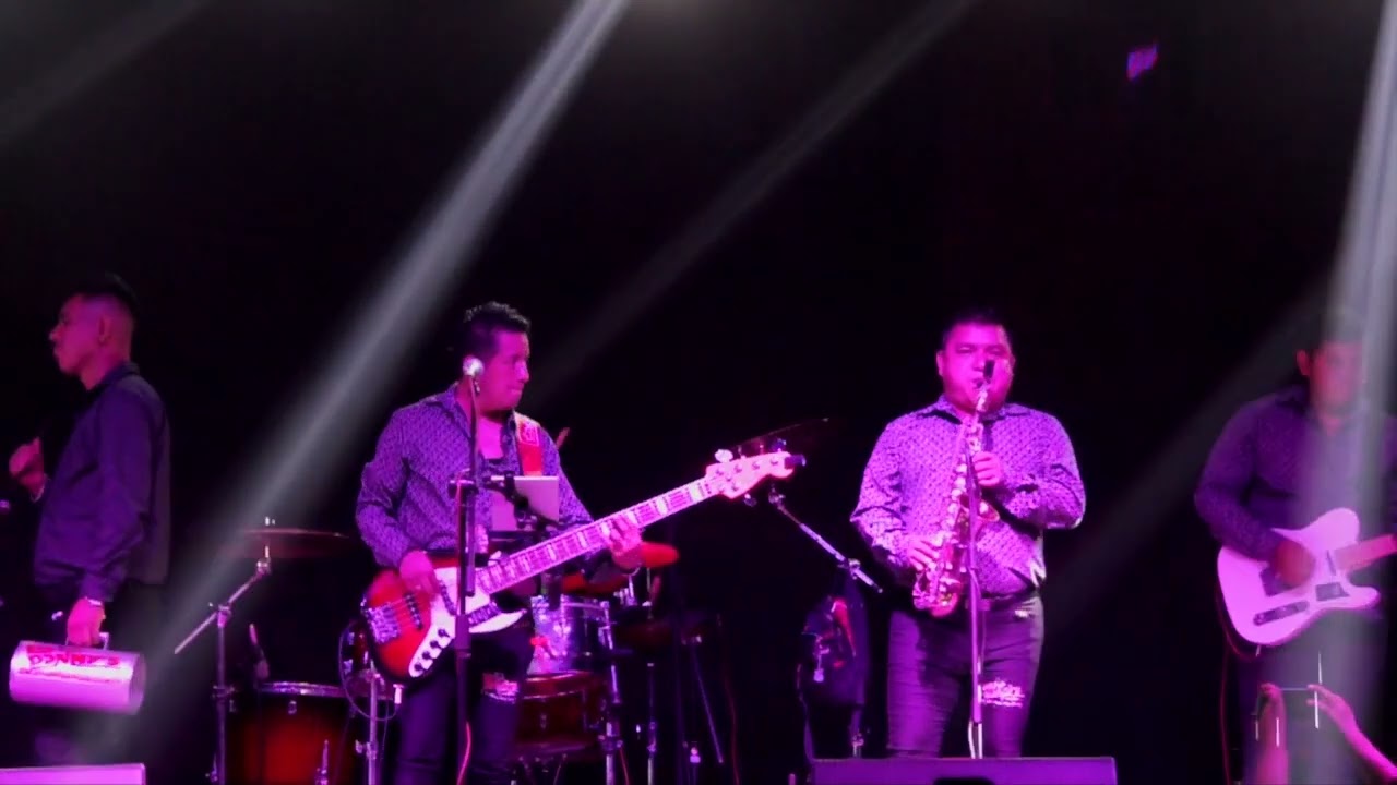Los Donnys De Guerrero- Loco De Amor/No Soy Perfecto/El Fuego De Un Amor