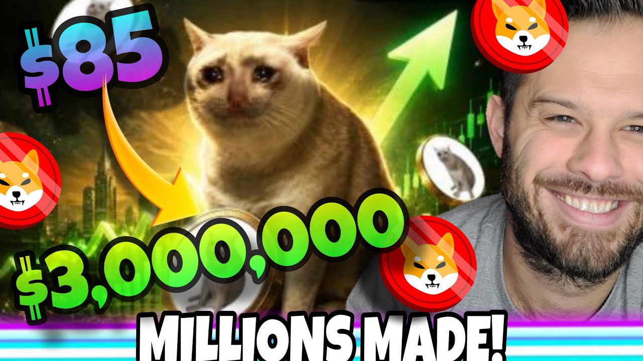 Трейдер превратил $85 в $3 миллиона на новой мем-монете Cash Cat! Что это значит для Shiba Inu!