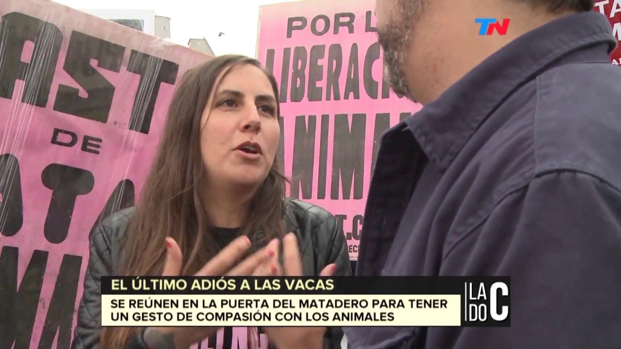 El ultimo adiós a las vacas