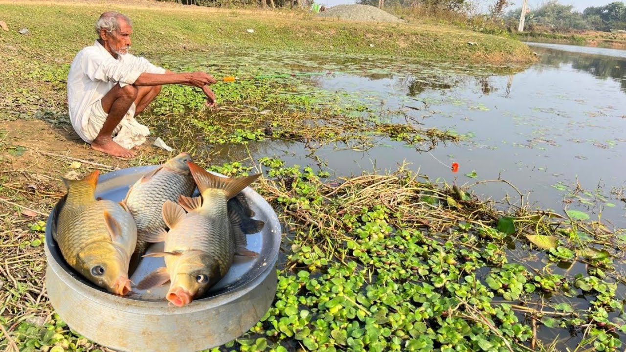 Fishing Video || Grandpa showed everyone which bait to use to catch more fish || Amazing hook trap