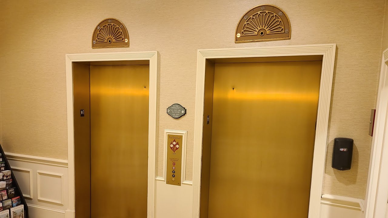 Fancy Thyssenkrupp Elevators at the Hampton Inn & Suites in Savannah, GA