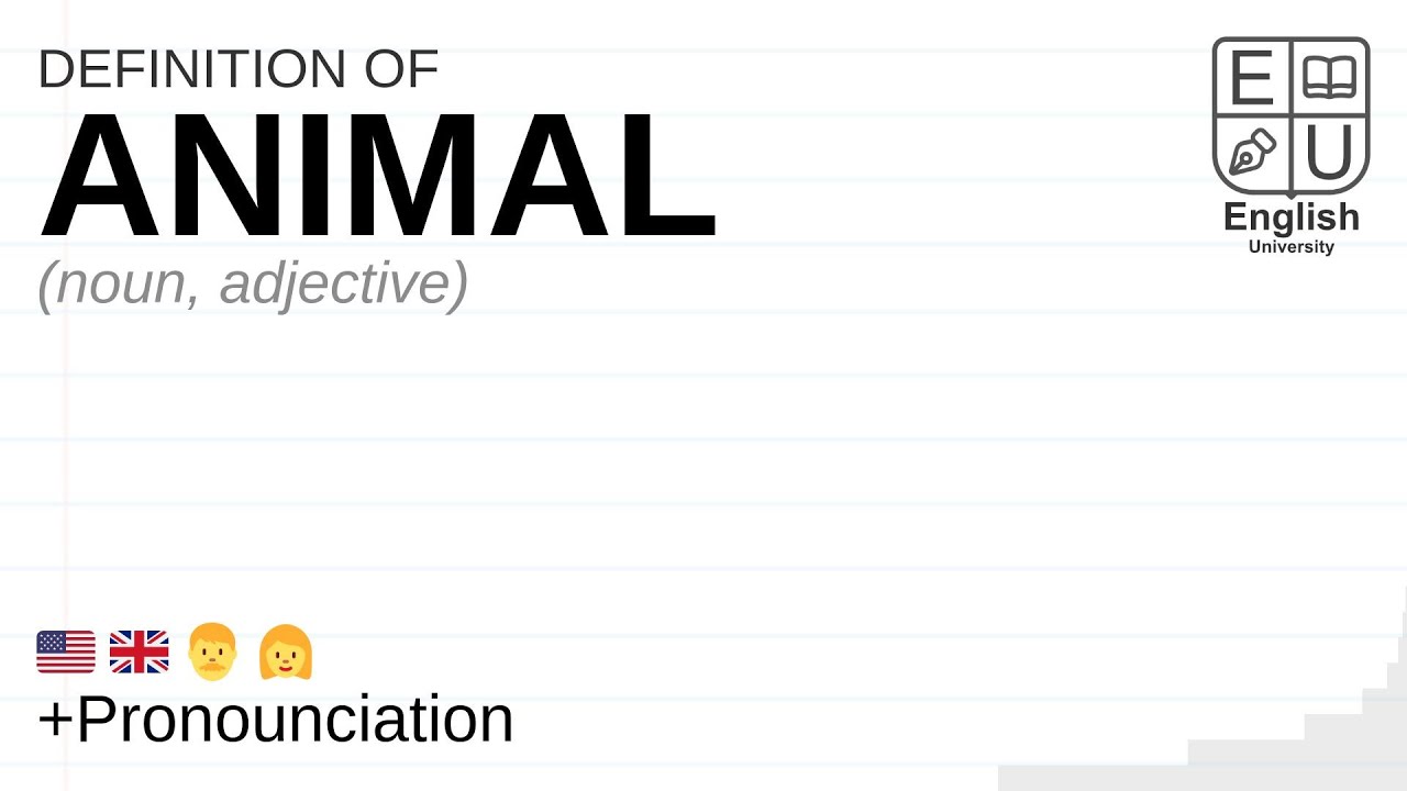ANIMAL meaning, definition & pronunciation | What is ANIMAL? | How to say ANIMAL