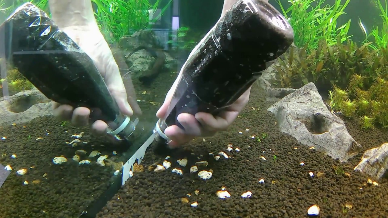 How to Add Sand/Soil to an Established Aquarium