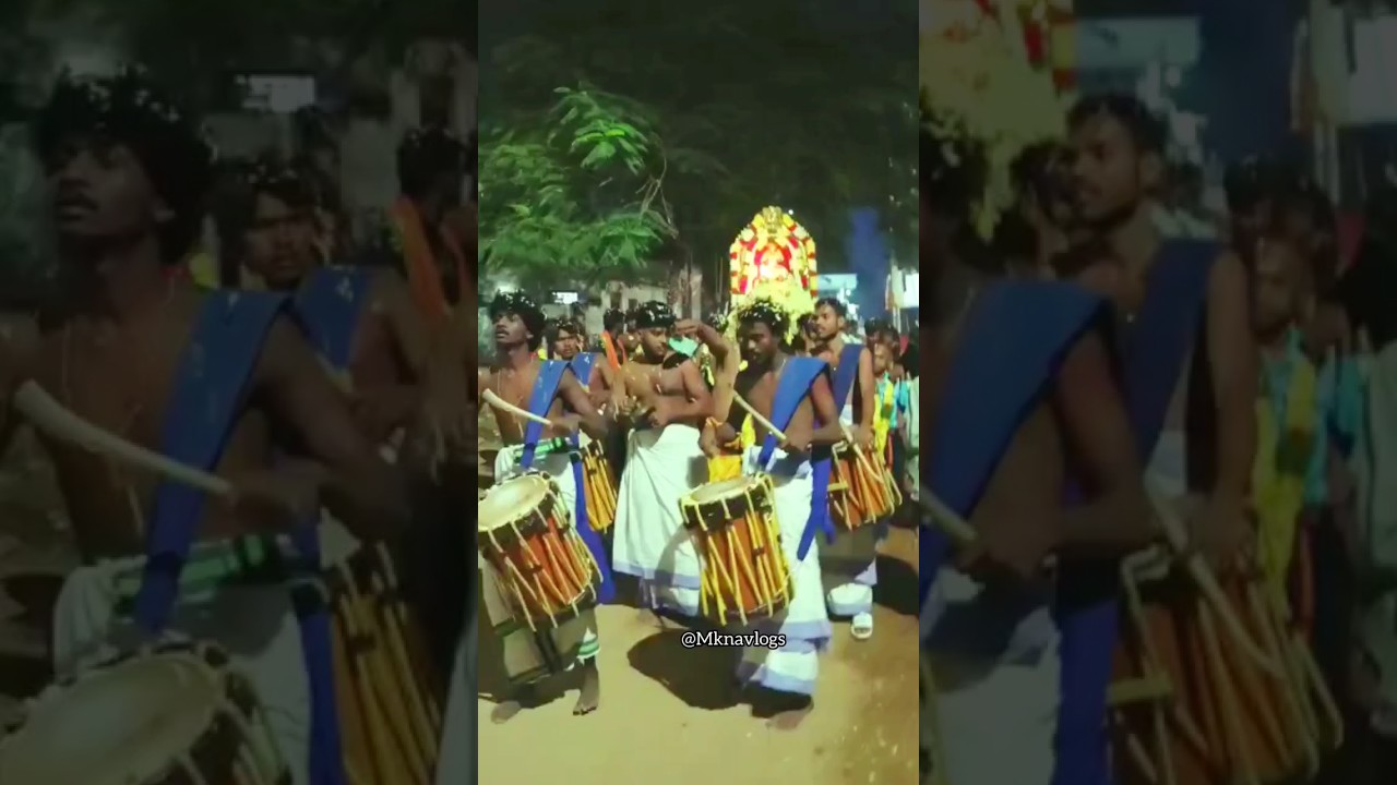 Ayyappa Swamy Pallaki Seva 🙏🏻🚩 #ayyappa #sabarimala #keralaattraction #trending #shorts #mknavlogs