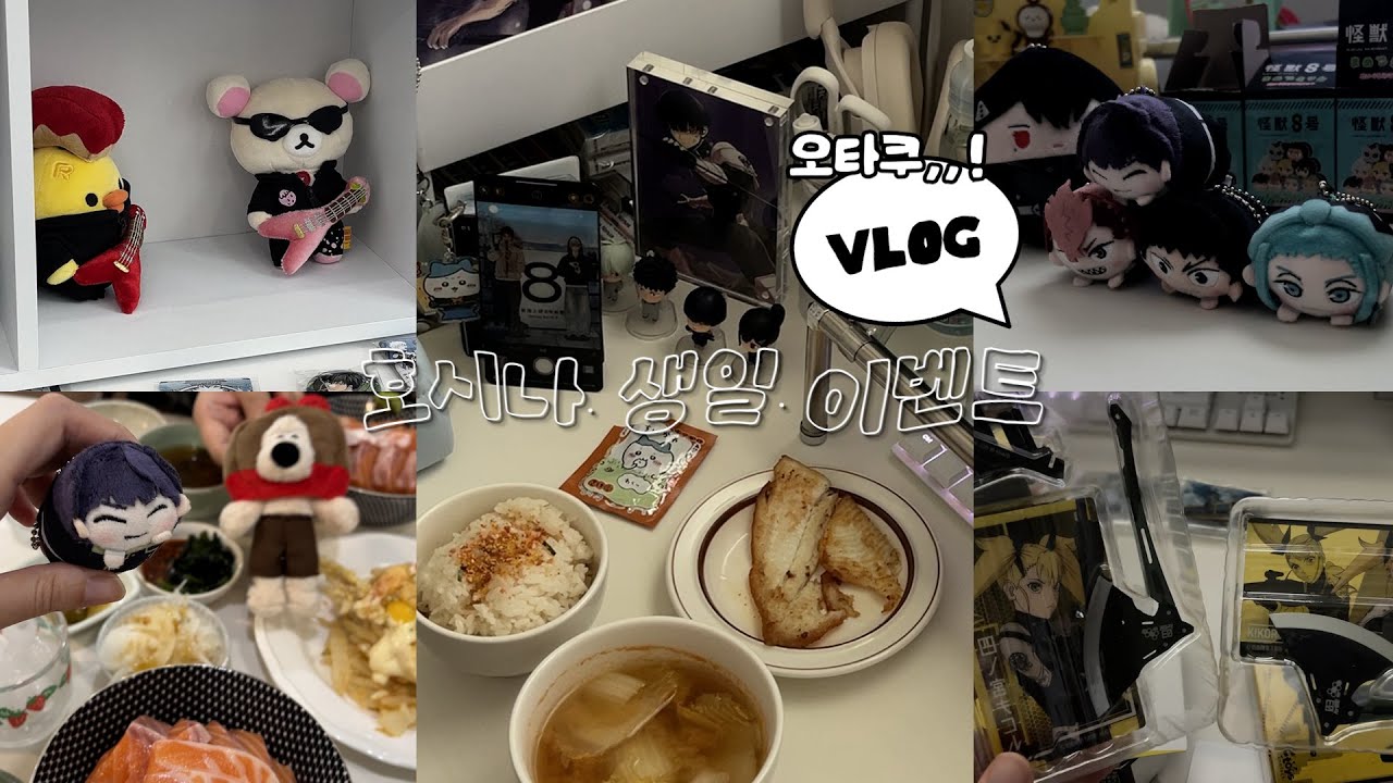 vlog✧호시나 생일 존나게 축하했다,..｜홍대 굿즈샵 투어｜구독자 이벤트