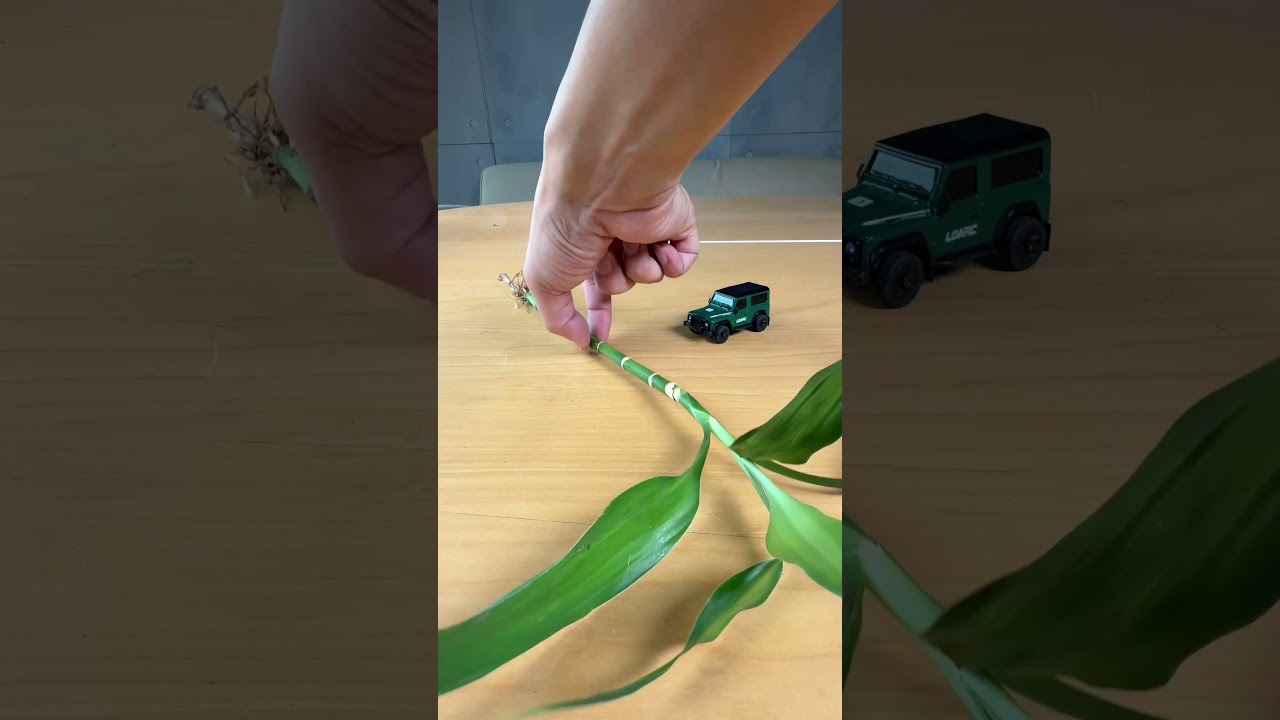 Rc cars: Another one