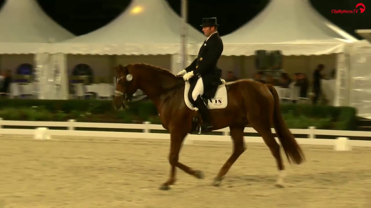 Heiner Schiergen | Discovery OLD | Grand Prix Kür | KH Masters 2017
