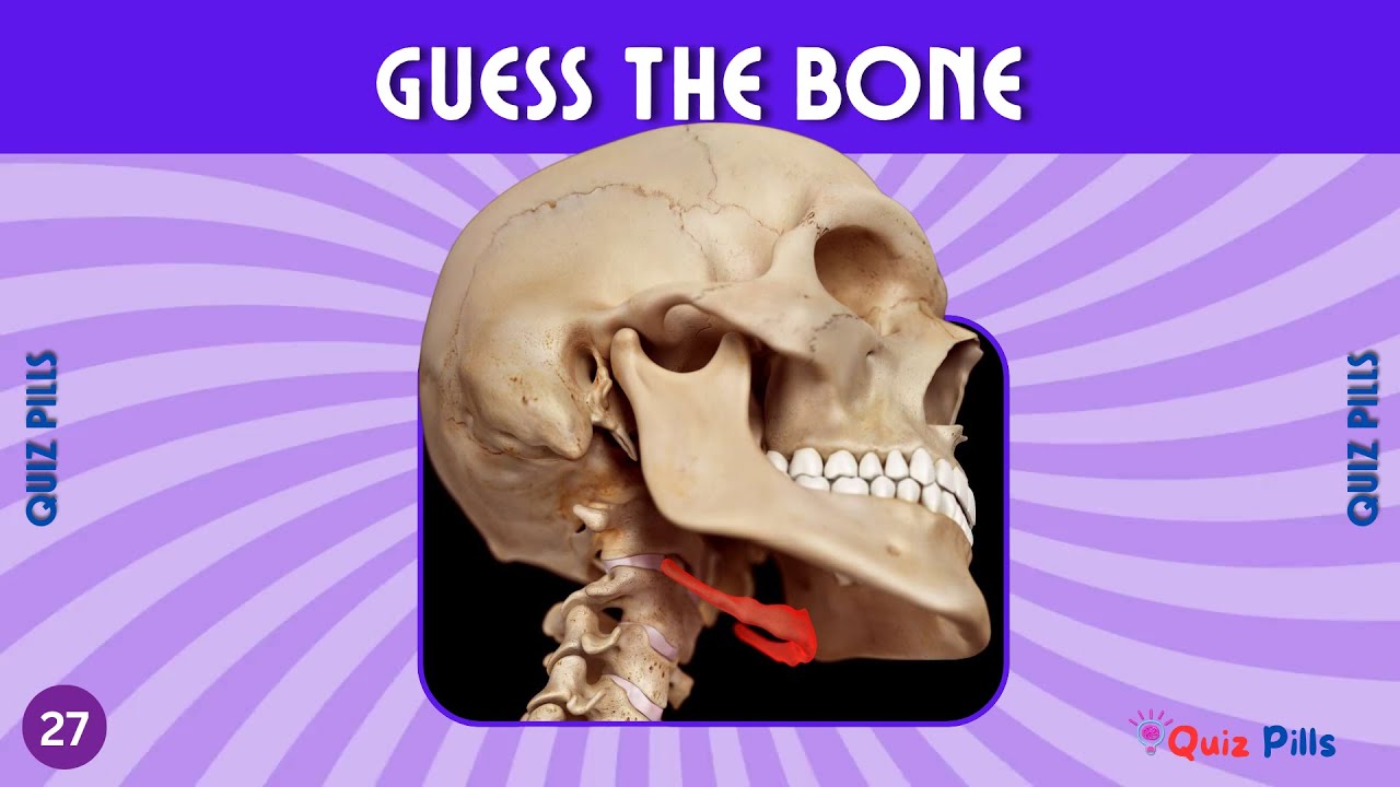 Guess The Bone Human Body Quiz Challenge #quiz #quizchannels