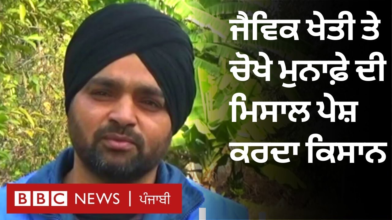Organic farming: 'ਕੁਦਰਤੀ ਖੇਤੀ ਵਪਾਰ ਘੱਟ,  ਜ਼ਿੰਦਗੀ ਜਿਉਣ ਦੀ ਜਾਚ ਵੱਧ' | BBC NEWS PUNJABI