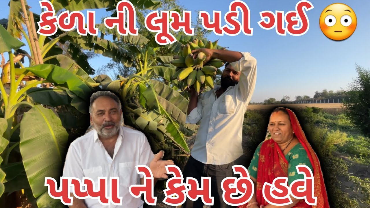 પપ્પા ને કેમ છે હવે | નુકસાન થઈ ગયું વાડી માં 😳 | village life | farmer life | family 