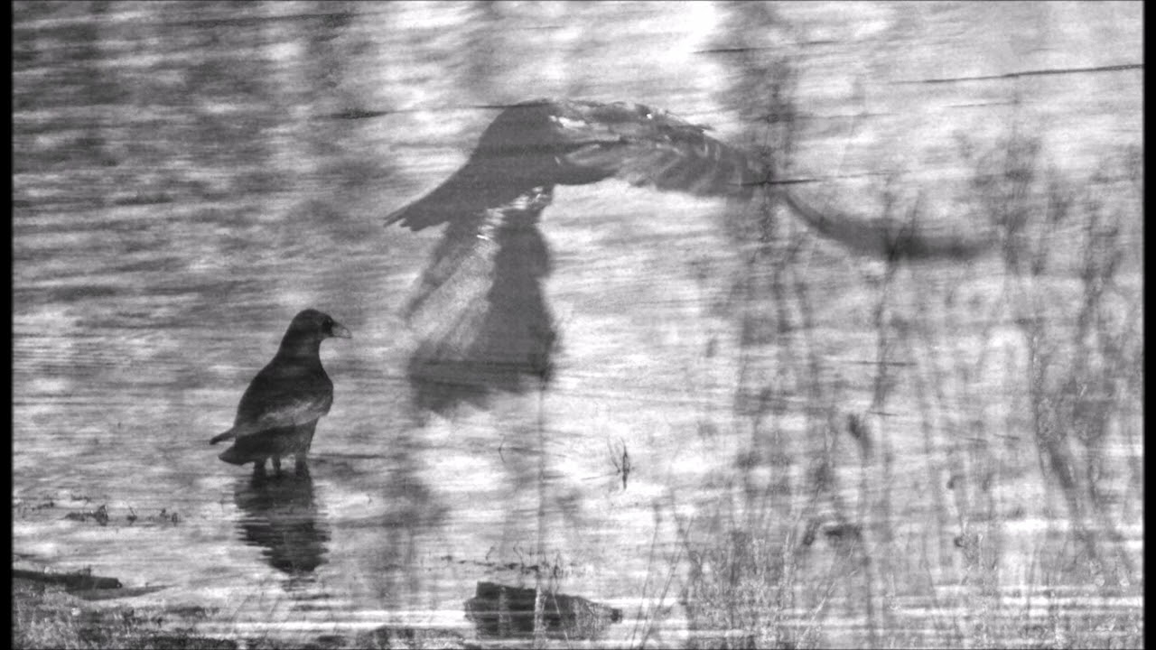 Jean Ritchie - The Blackest Crow