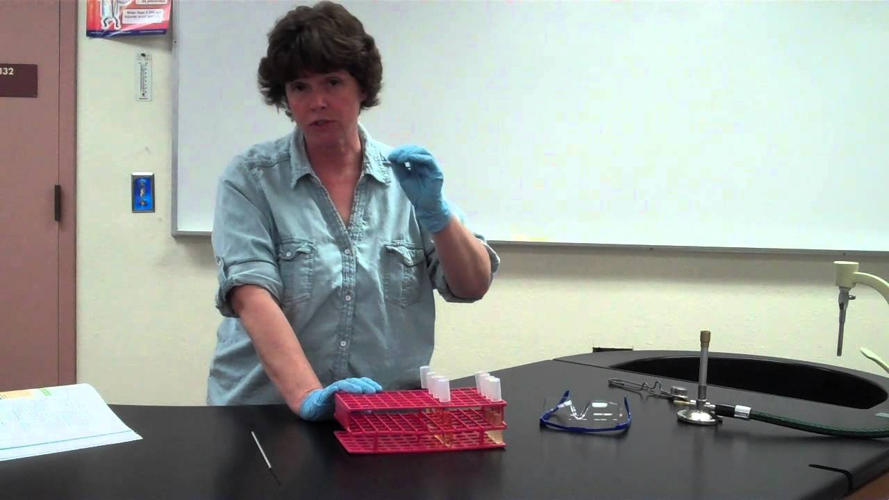 Urease Test
