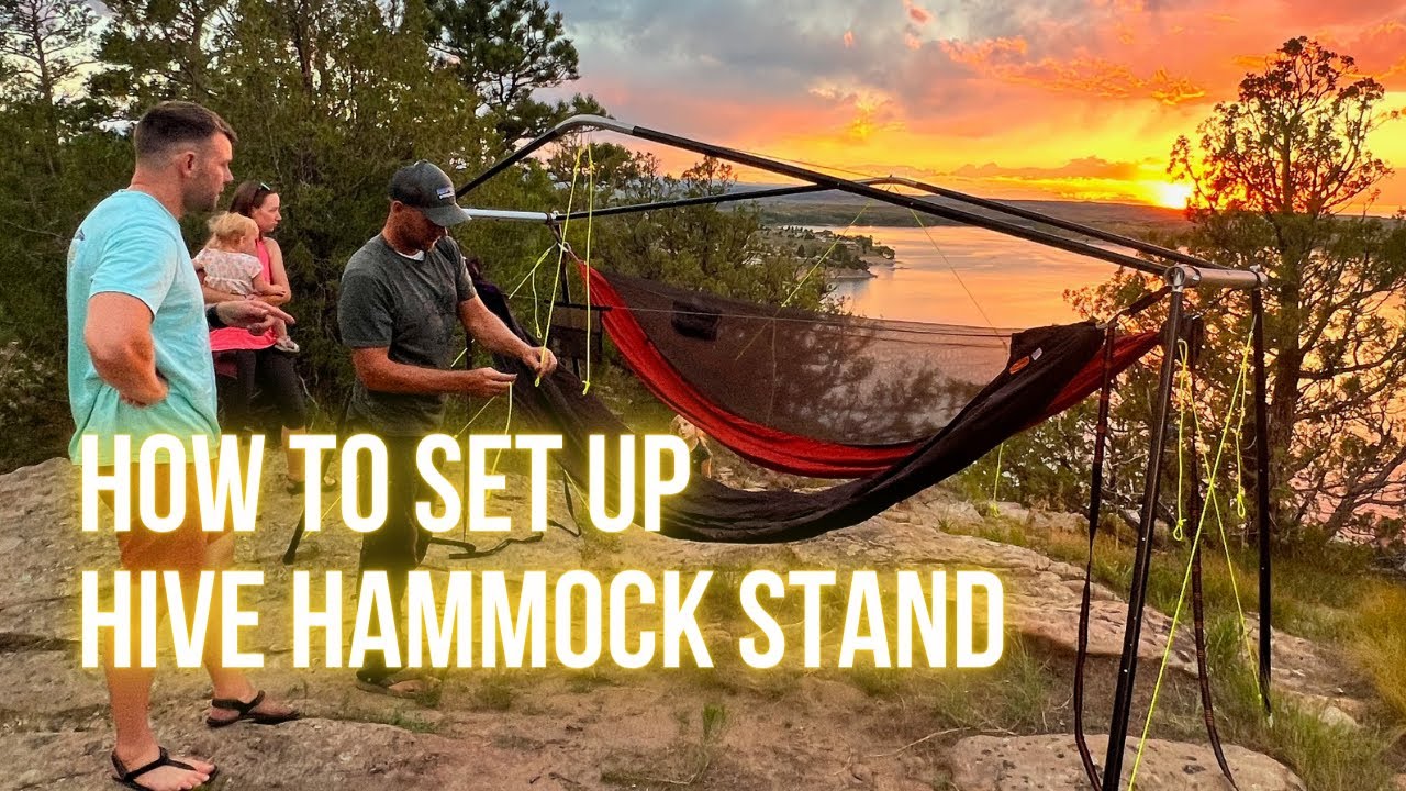 How to Set Up Hive Hammock Stand