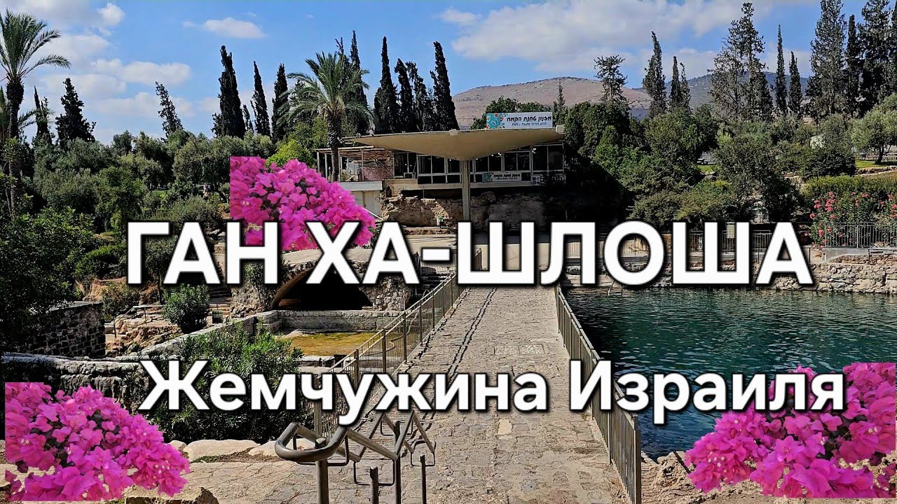 Ган ха-Шлоша- жемчужина Израиля#naturebeauty #travel #rest#озера  