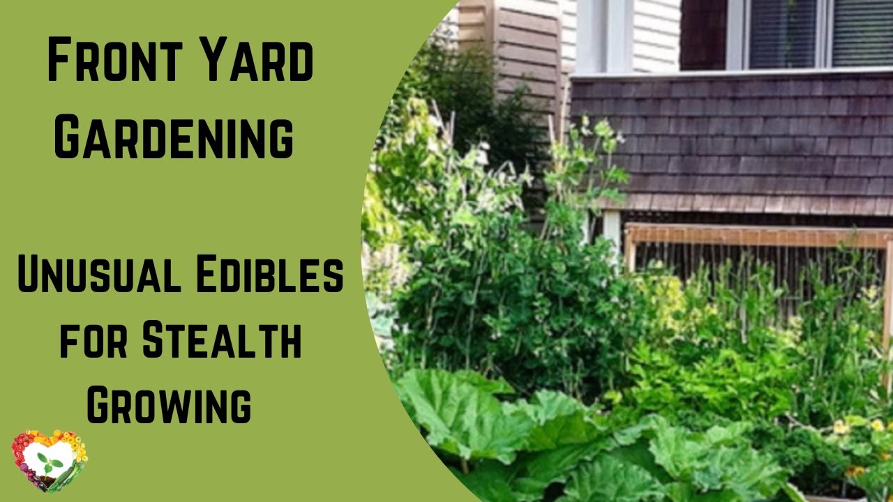 Front Yard Gardening: Unusual Edibles for Stealth Growing