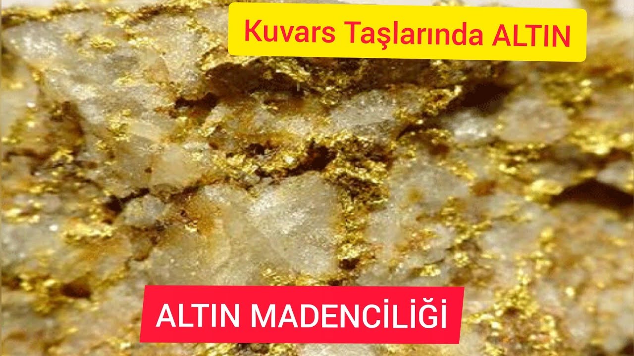 Kuvars Taşlarında Altın  - Altın Denemesi Sonuç bulundu