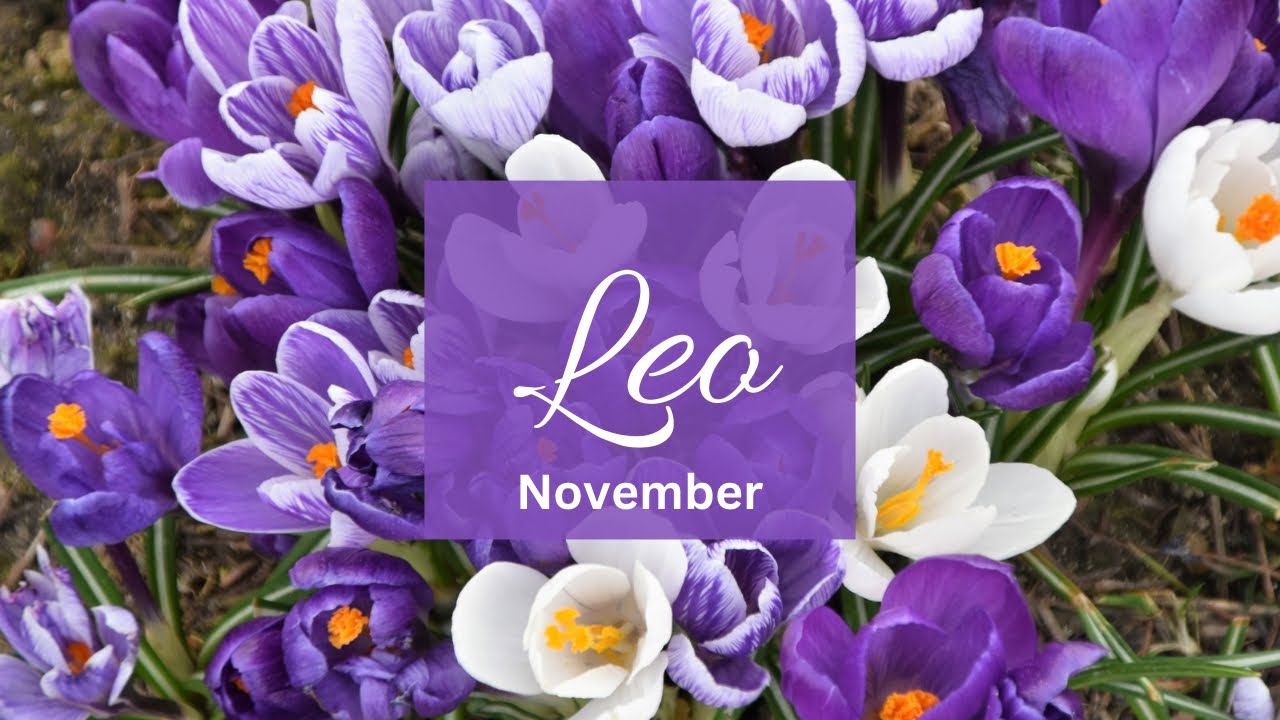 Leo❤️Left u with no choice but to walk away & now this is why they r obsessively stalking u..