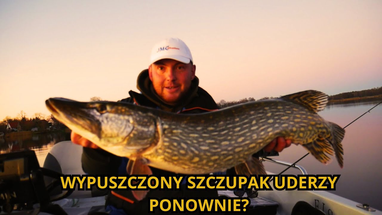 Wielki szczupak w ostatnich rzutach!