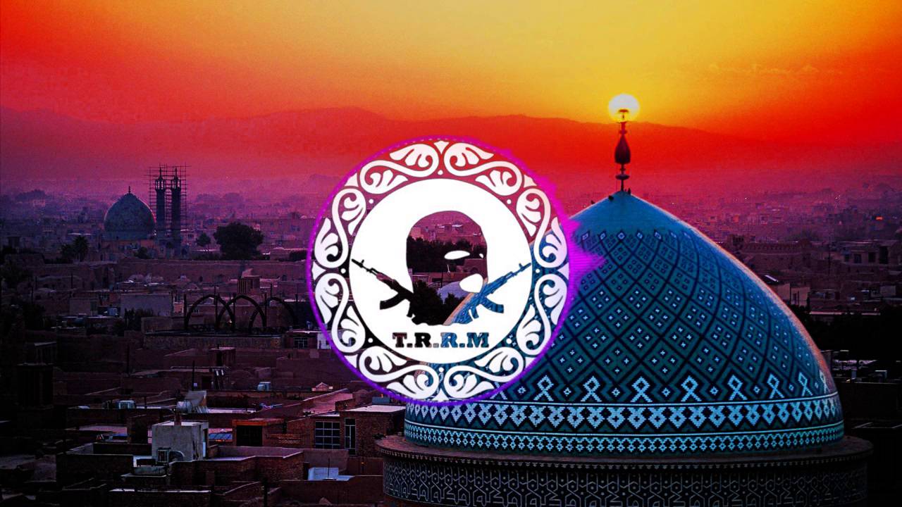 TerrorMusic|Arnold Schwarzenegger - Cocainum (Tim Ismag Remix)