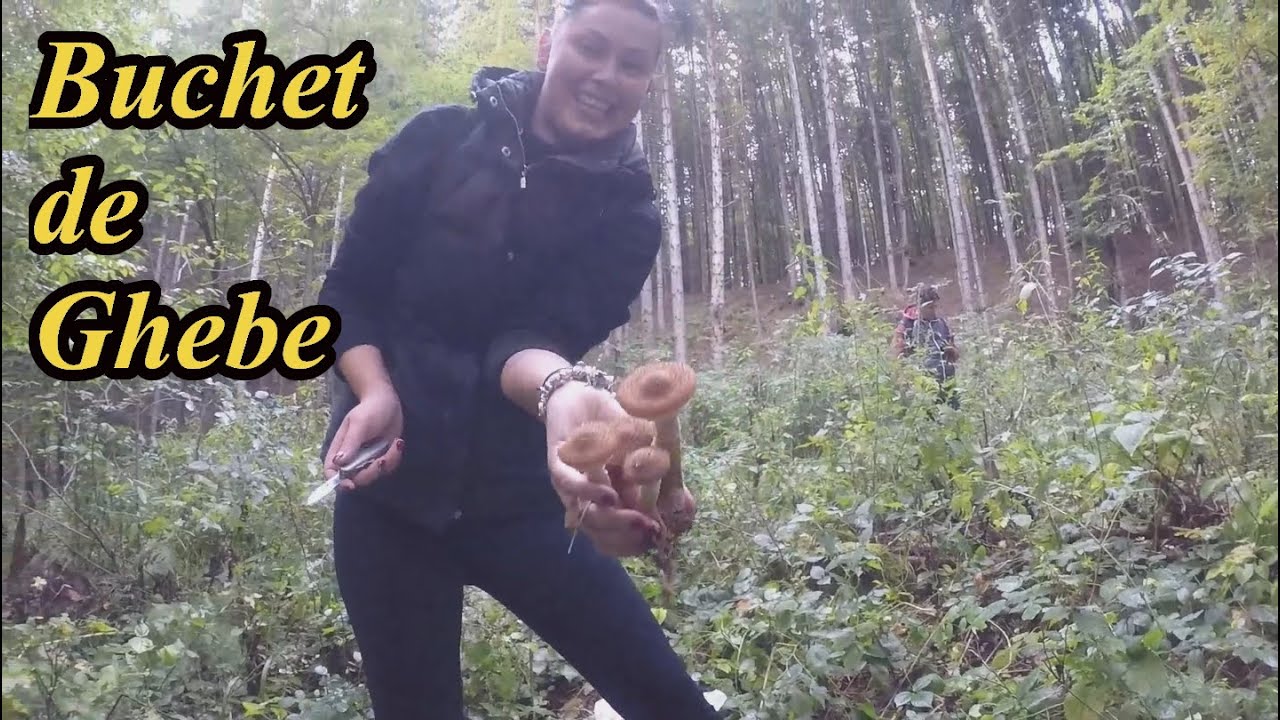 La Ciupercărit după Ghebe cu Familia