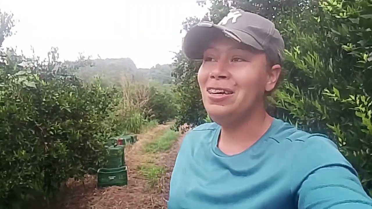 Mais um dia de trabalho concluído 
