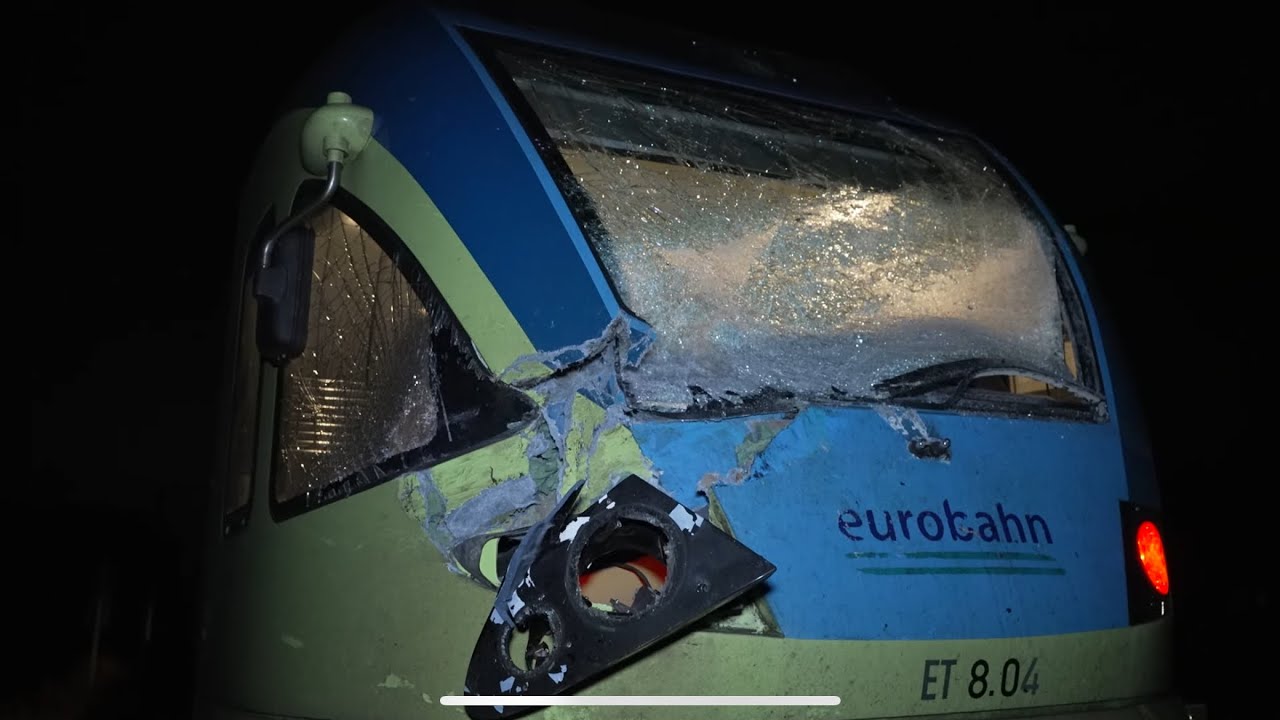 [ZUG KOLLIDIERT MIT BAUM] Sturm Telse über Norddeutschland-Feuerwehr Rheine evakuiert Fahrgäste