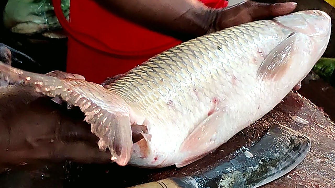 Amazing Cutting Skills | Big Mrigal Fish Cutting By Expert Fish Cutter