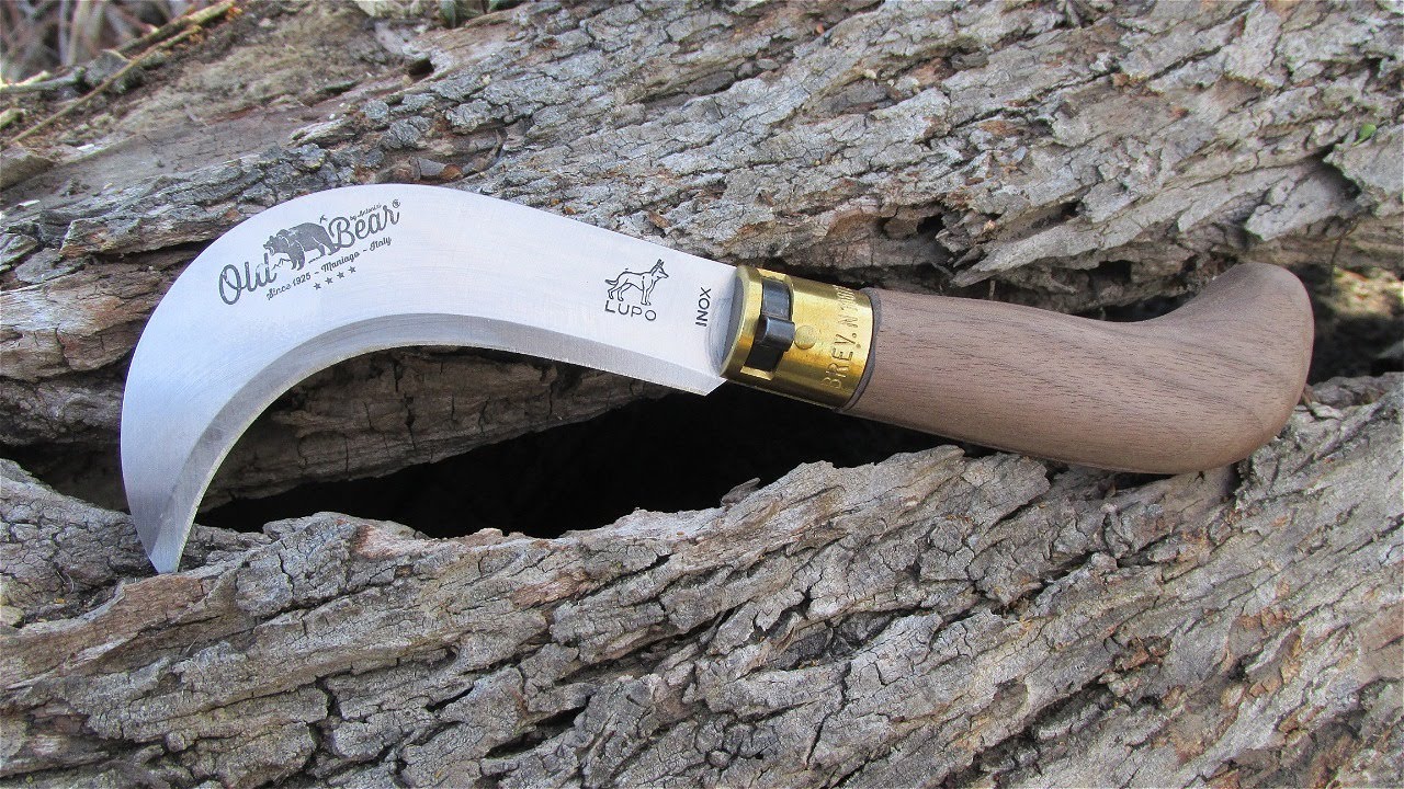 OLD BEAR Large PRUNNING KNIFE From Antonini Knives