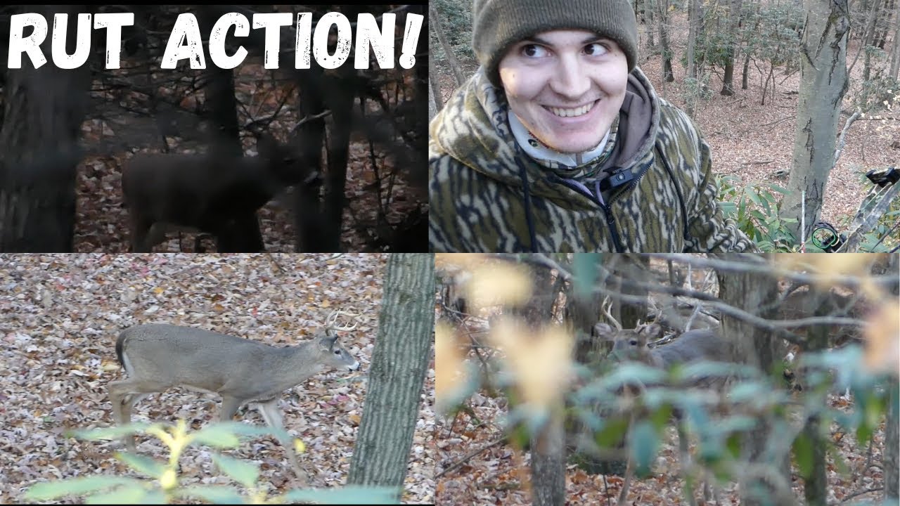 2024 PA Archery Season Ep. 2 (Rut Action!)