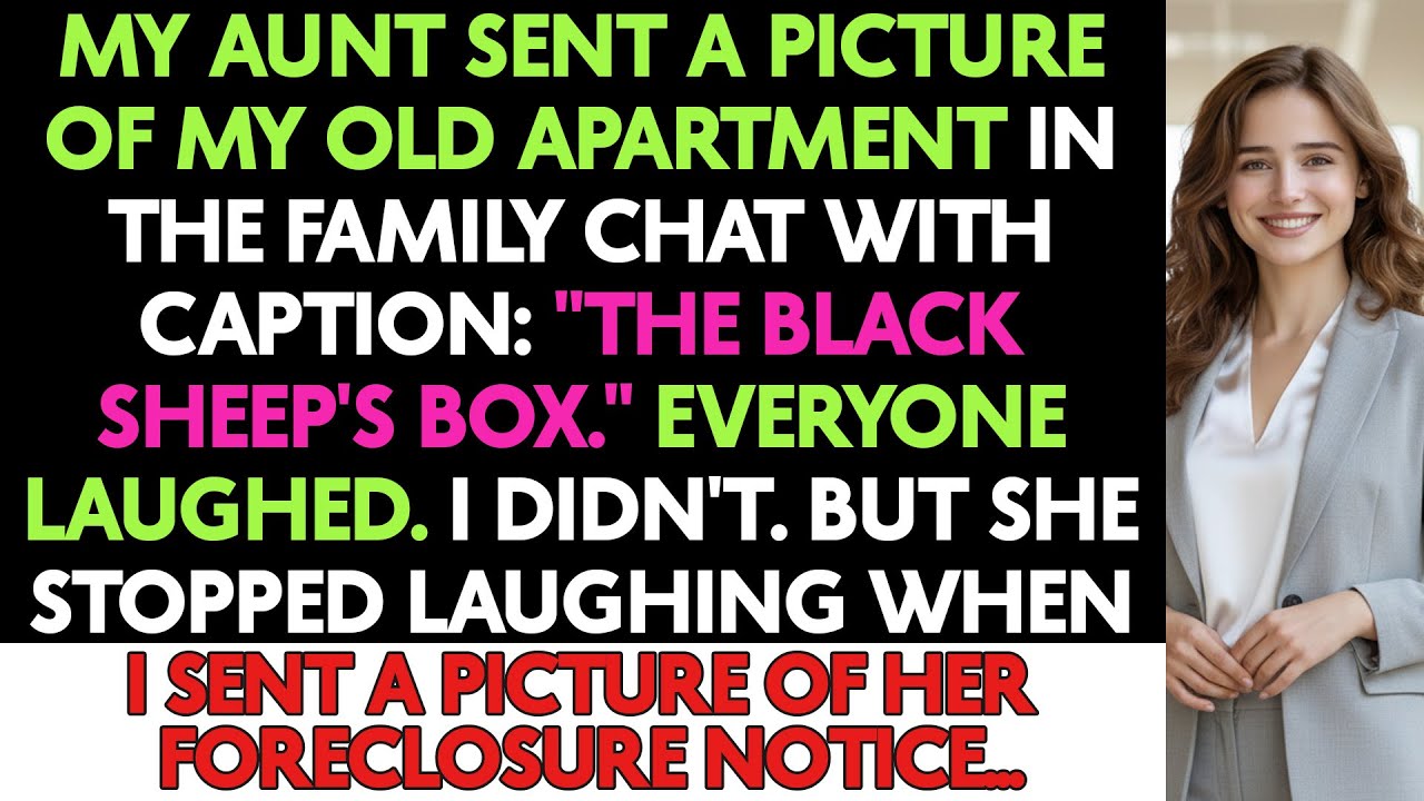My Aunt Mocked My Apartment In The Family Chat. She Didn’t Laugh When I Sent Her...