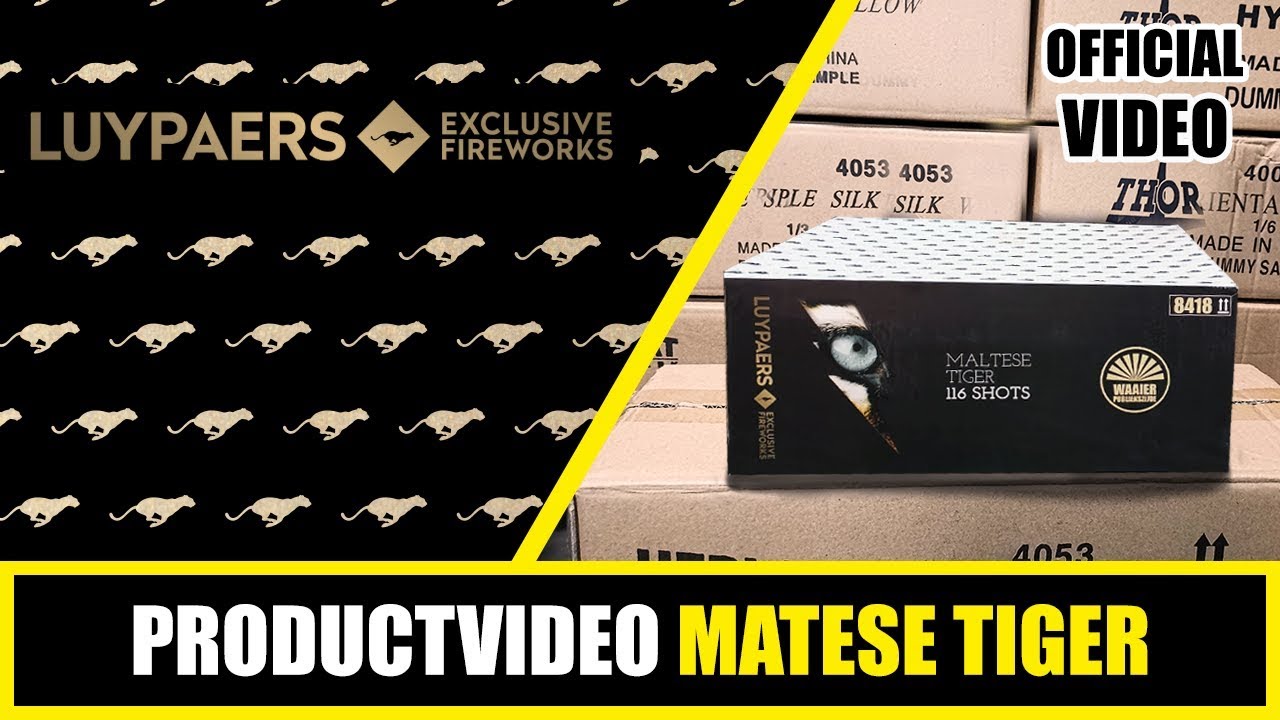 PRODUCT VIDEO | LUYPAERS | MALTESE TIGER | 8418