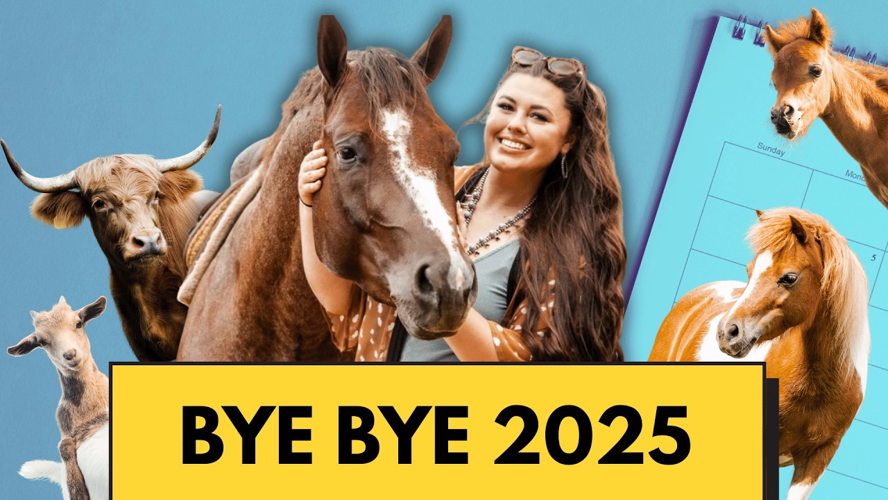 We Are Just Beginning! | Looking Back at 2025