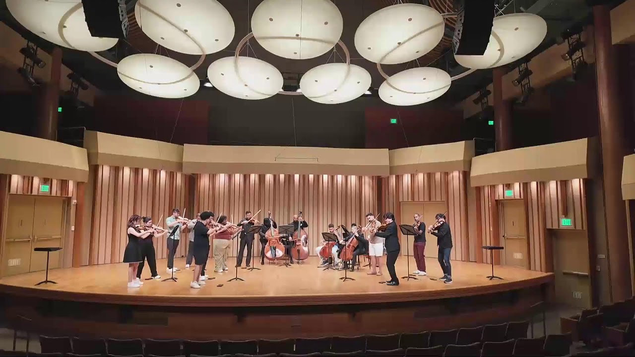 Репетиция выступления Сфинкса-виртуоза Колберна