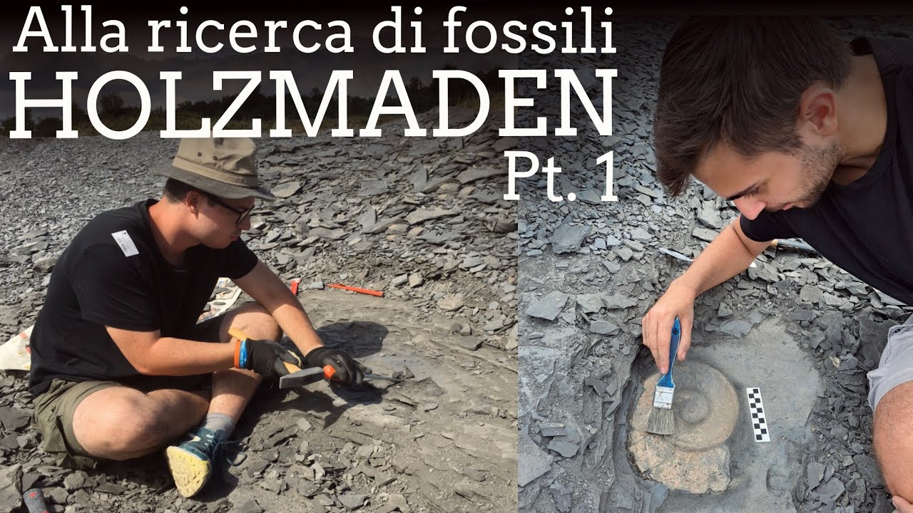 Alla ricerca di fossili - HOLZMADEN (Germania) pt.1
