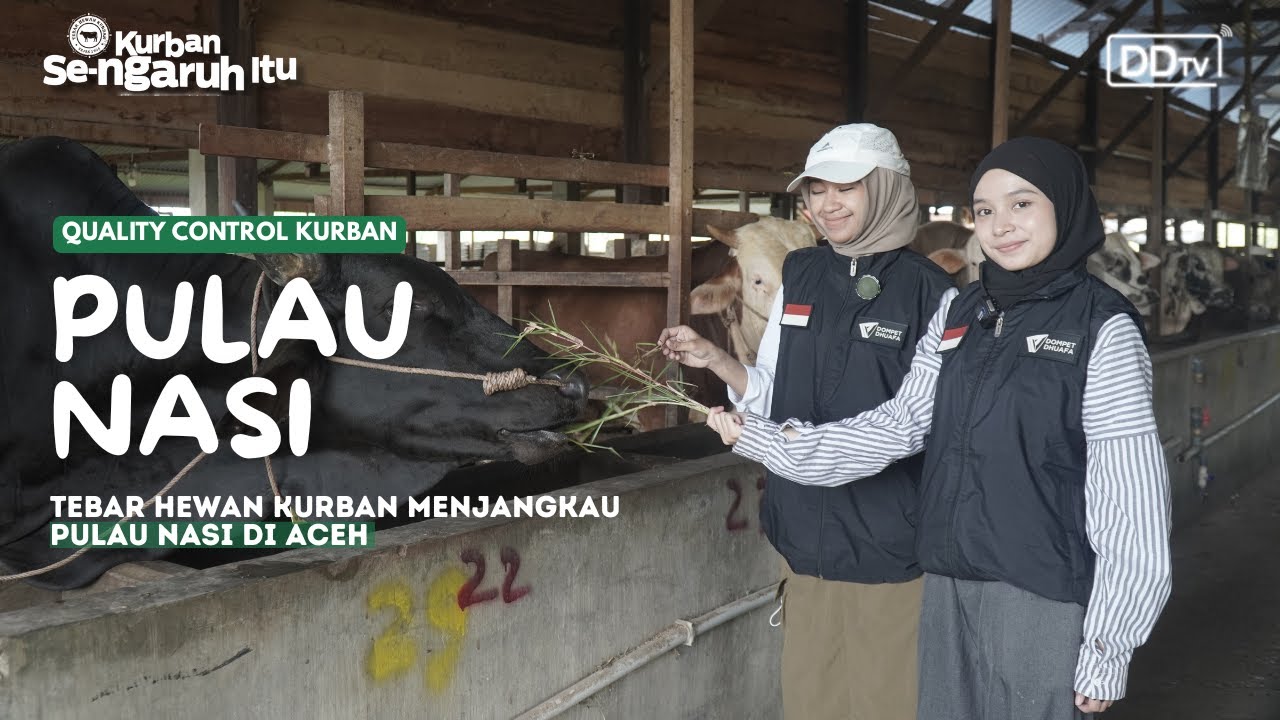 Ujung Barat Indonesia yang Masih Terbatas Hewan Kurbannya | Ibel & Shabella Quality Control THK 2025