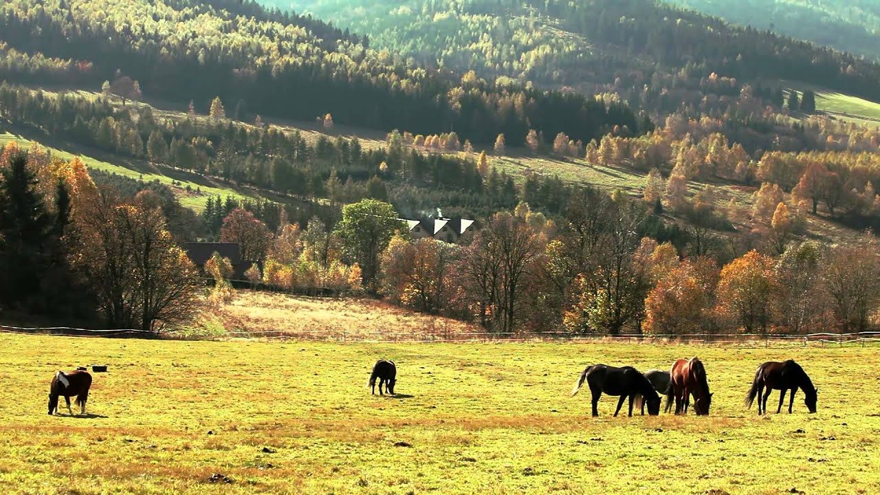 Nowy Gierałtów - W dolinie Białej Lądeckiej