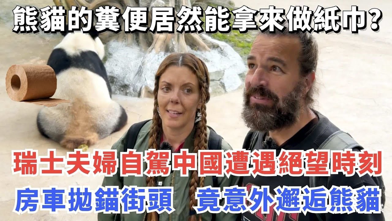 熊貓的糞便居然能拿來做紙巾？瑞士夫婦自駕中國遭遇絕望時刻，房車拋錨街頭  竟意外邂逅熊貓