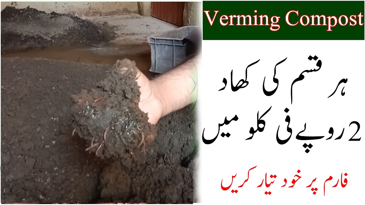 How to make Vermi compost at farm|produce your own organic fertilizer at very low price|organics