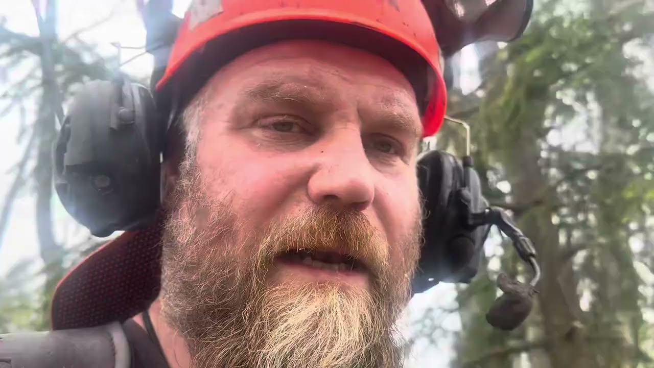 En misslyckad fällning