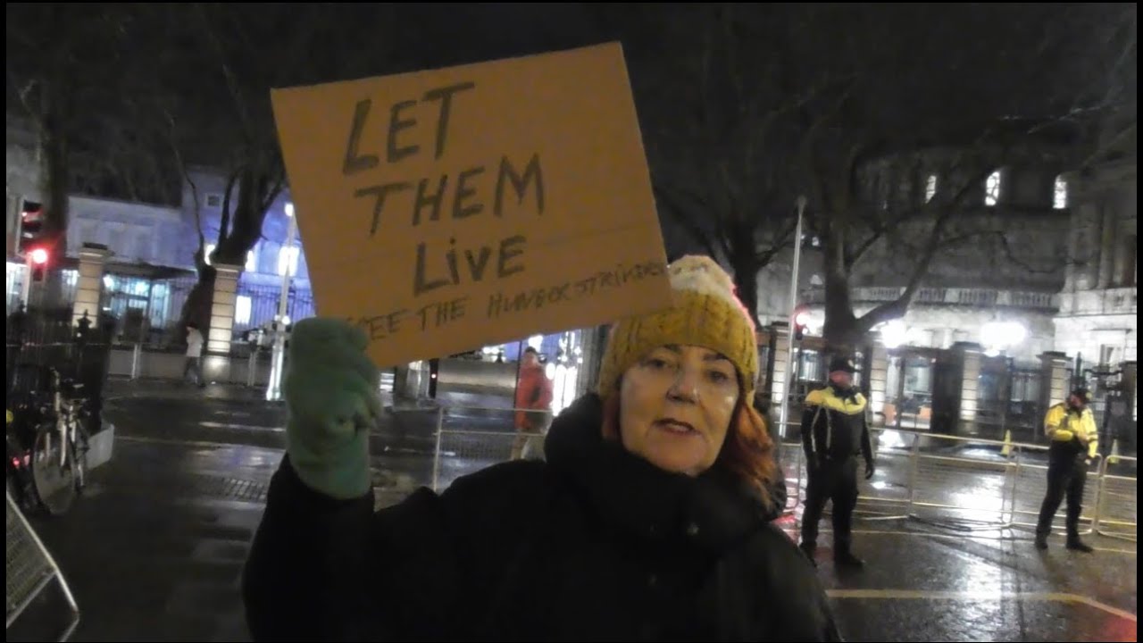 Crowd gathered for Dublin protest in support of Palestine Action hunger strikers