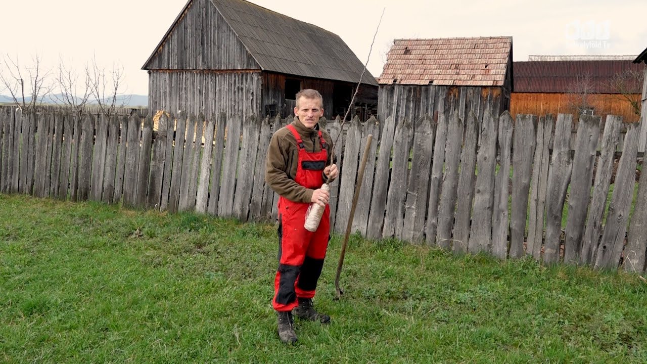Gyümölcsfa ültetés - KisKertÉsz - 2022. 05. 25.