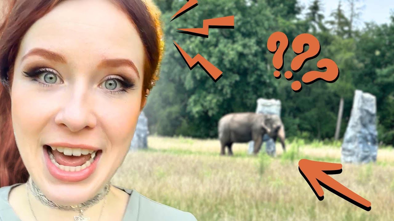 🚨 CHAOS ON SET: 🐘 ELEPHANTS out of nowhere!!