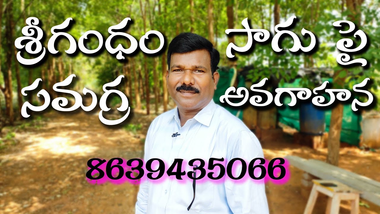శ్రీగంధం సాగు పై సమగ్ర అవగాహన || Rasool Sri Gandham Nursery || 8639435066 ||