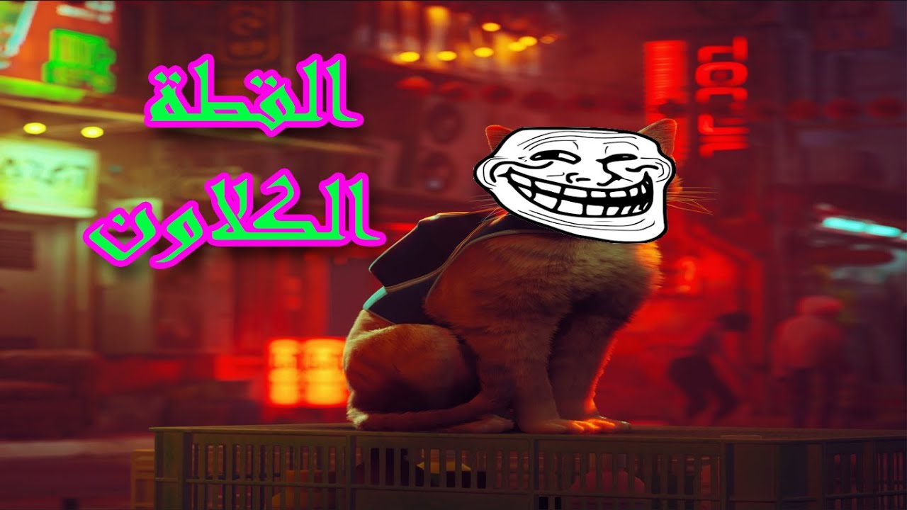 مغامارت القط الكلاون 🤡  مع كاريكا محب الحيوانات الأليفة || Stray