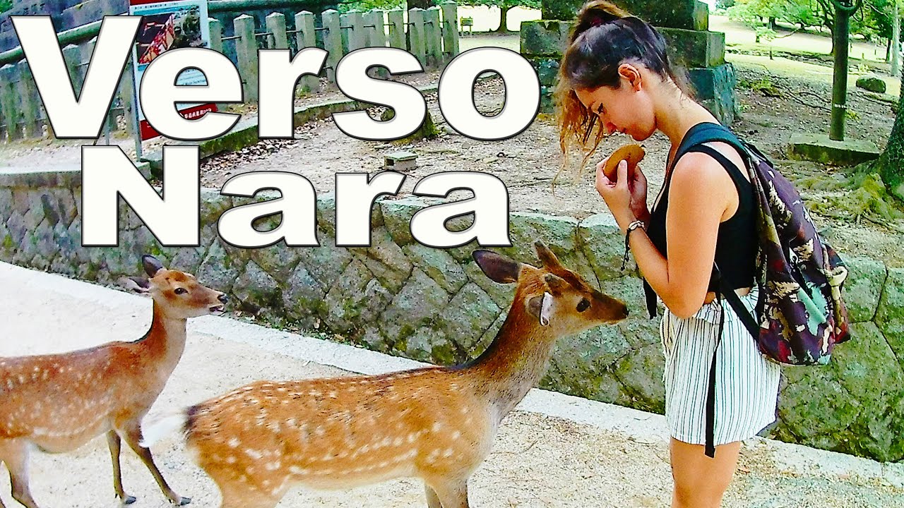 Cosa vedere a Nara in un giorno | Verso Nara | Verso Itaca