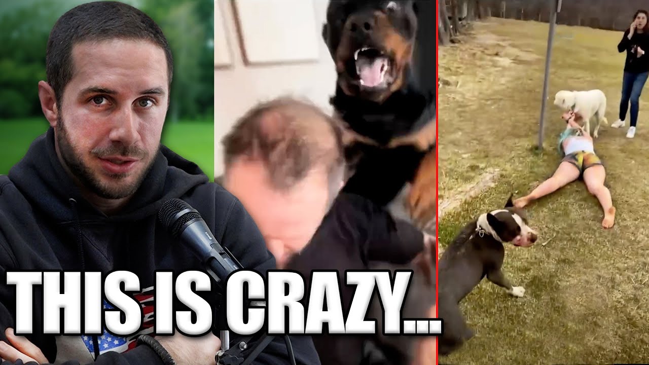The Most Out-of-Control TikTok Dog Videos | Dog Trainer Reacts