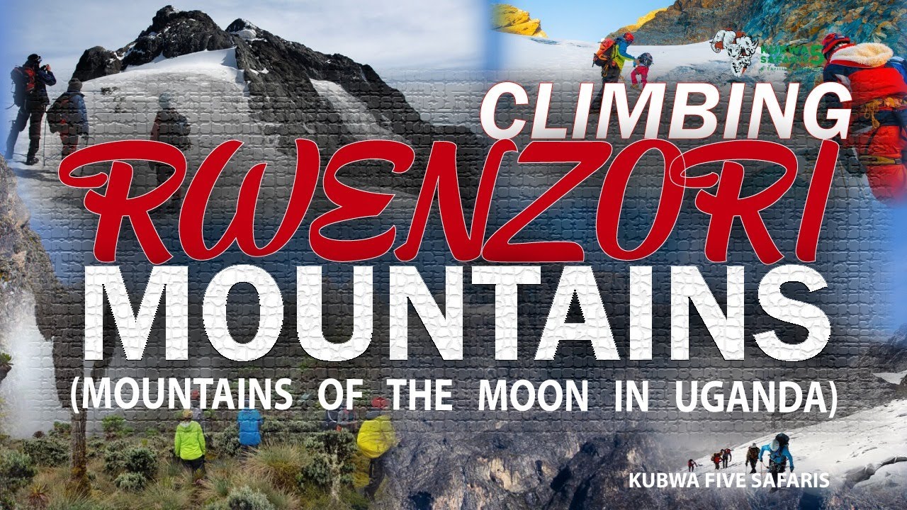 Climbing Rwenzori Mountains | Mountains Of The Moon In Uganda