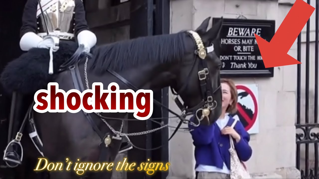 RUDE IDIOTS ignored the signs, MESSED THE WRONG KING’S GUARD horse , THIS HAPPENED!!!
