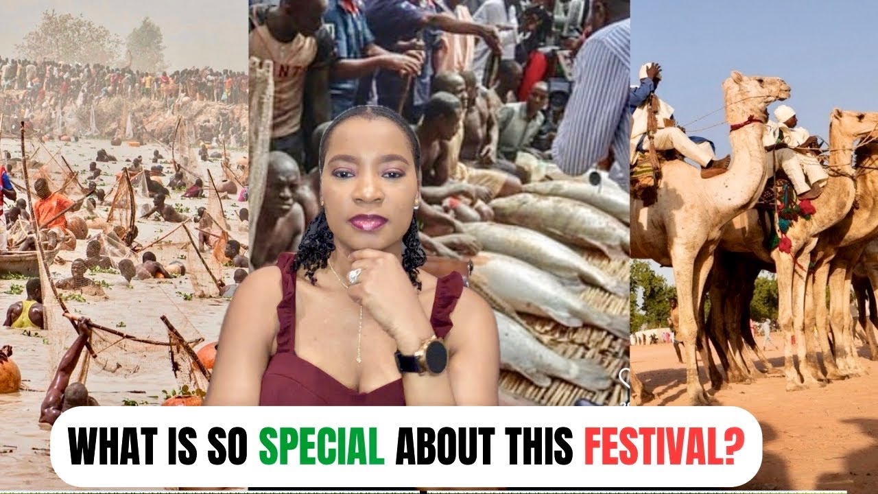 Argungu 2026: How Argungu International Fishing Festival In Nigeria 🇳🇬 Captured Global Attention